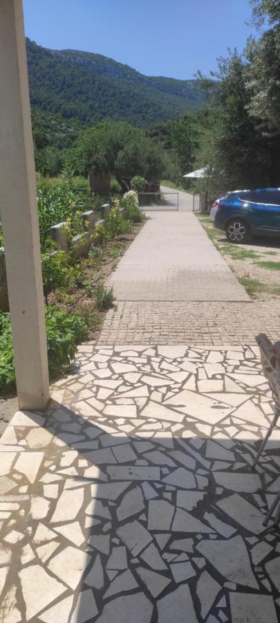 Apartmani Maslina Zuljana Žuljana Exterior foto
