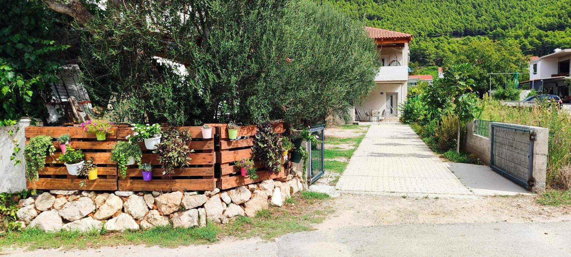 Apartmani Maslina Zuljana Žuljana Exterior foto